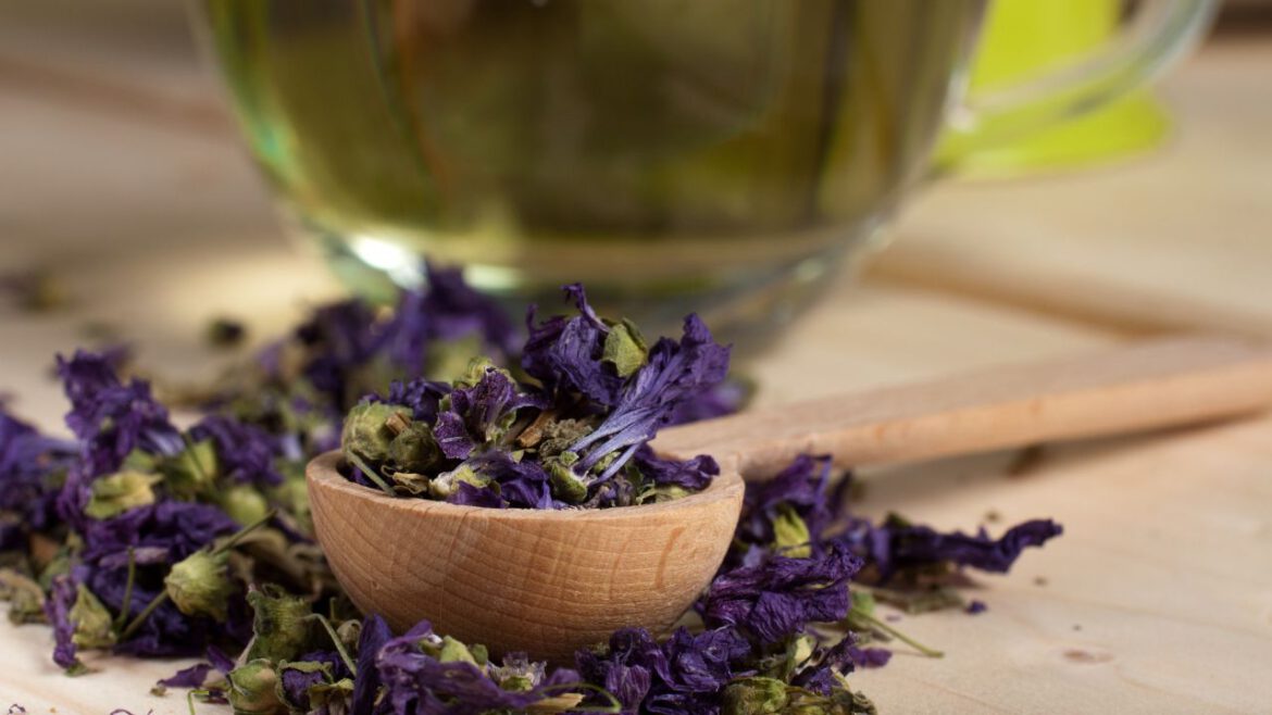 Kwiaty na talonie: Jak wykorzystać jadalne kwiaty ślazu w kuchni