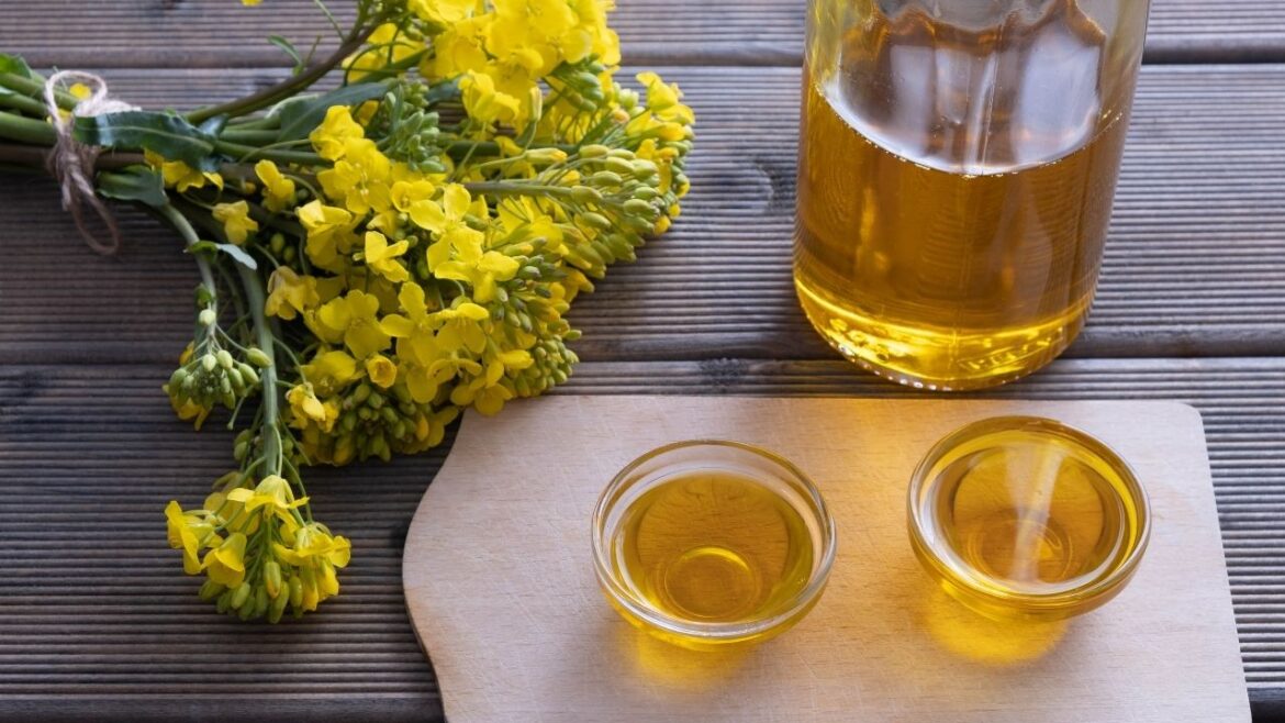 Przewodnik po zastosowaniach oleju lnianego, rzepakowego, konopnego i innych